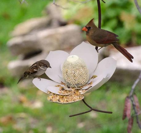 Petal Haven Bird Feeder