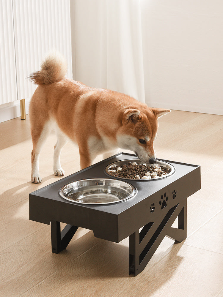 Foldable 3-Level Pet Feeder for Healthy Eating Posture