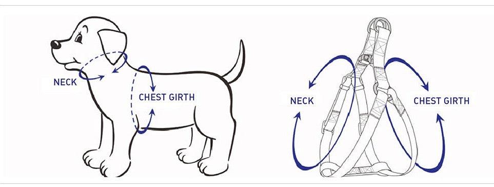 STEP IN HARNESS - BLUE