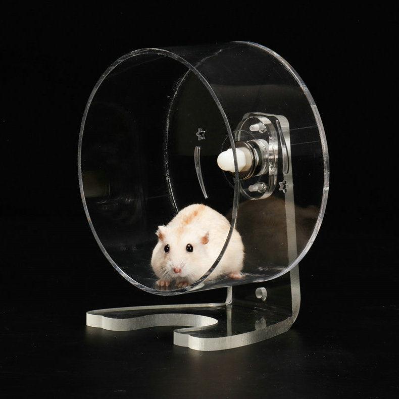 Transparent Acrylic Pet Exercise Wheel - The Ultimate Hamster Fitness Experience