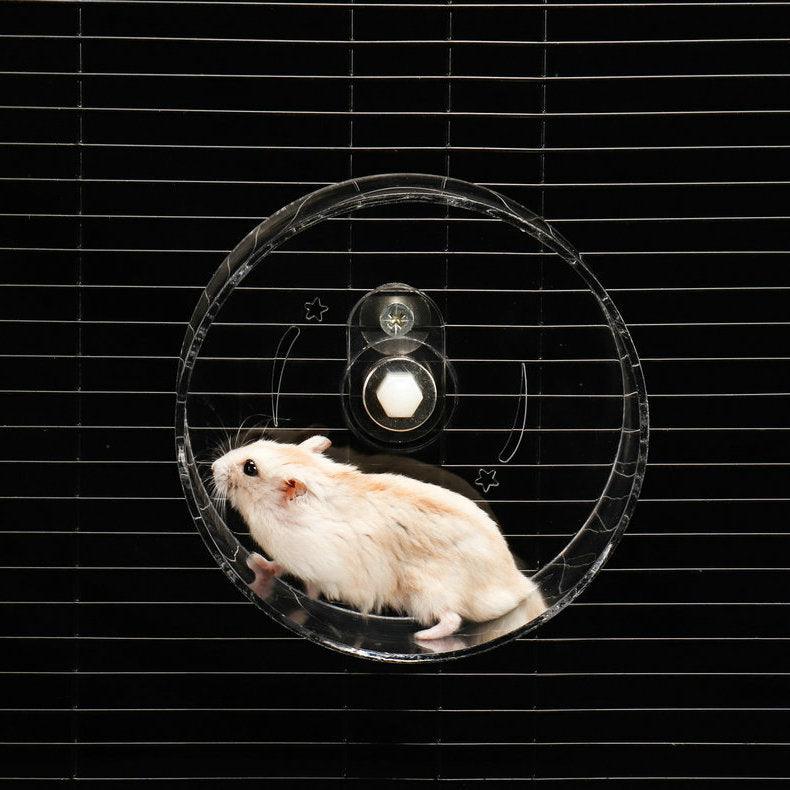 Transparent Acrylic Pet Exercise Wheel - The Ultimate Hamster Fitness Experience