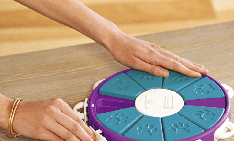 Engaging Dog Learning Toys