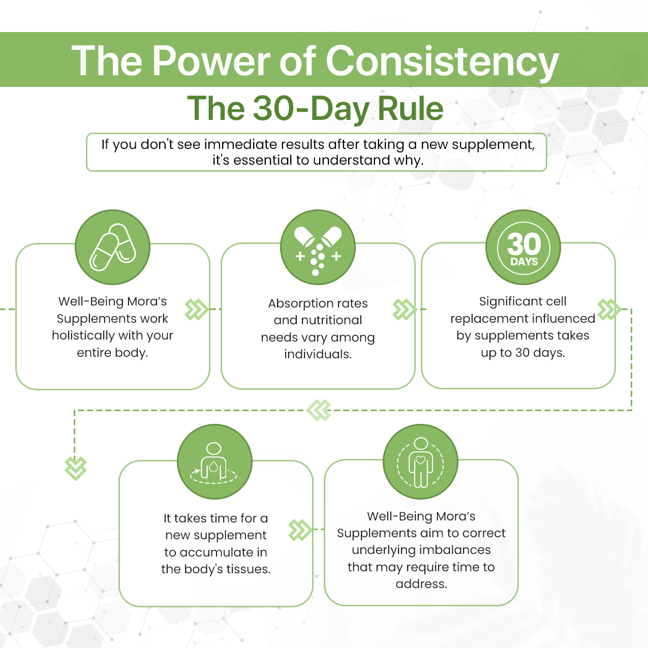 Holy Basil Powder for Respiratory, Immune & Stress Support