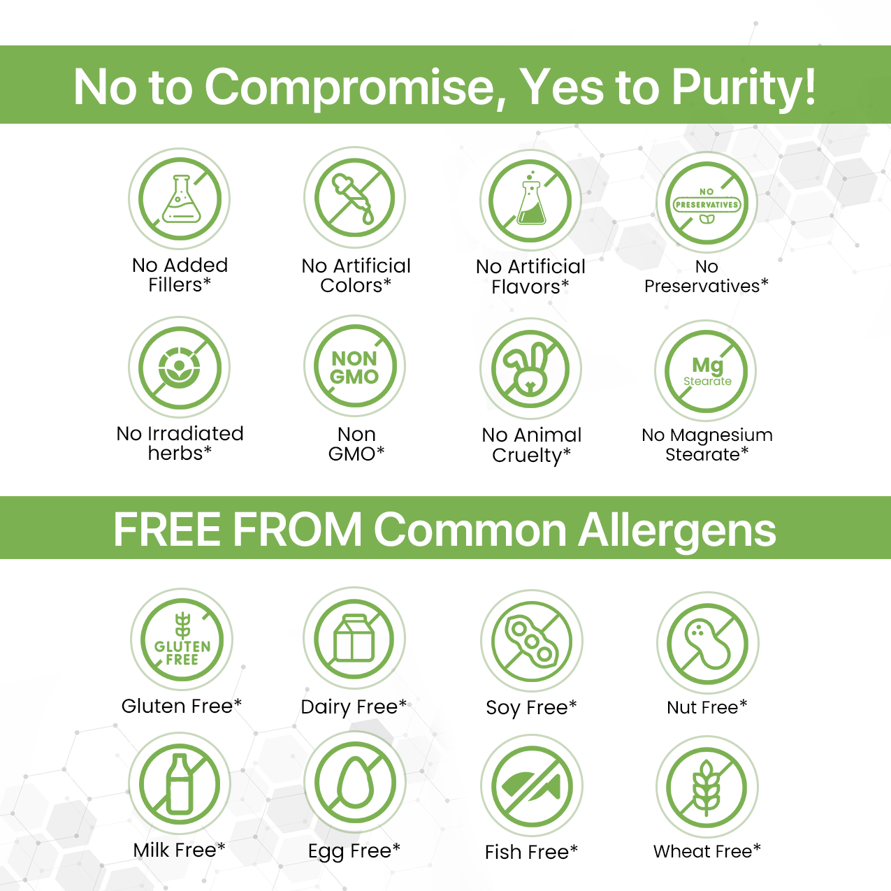 Moringa Powder for Immunity & Antioxidant Support