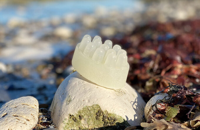 Dog Shampoo Bar – Massaging Anti-Flea Healthy Skin – by Pup Suds-0