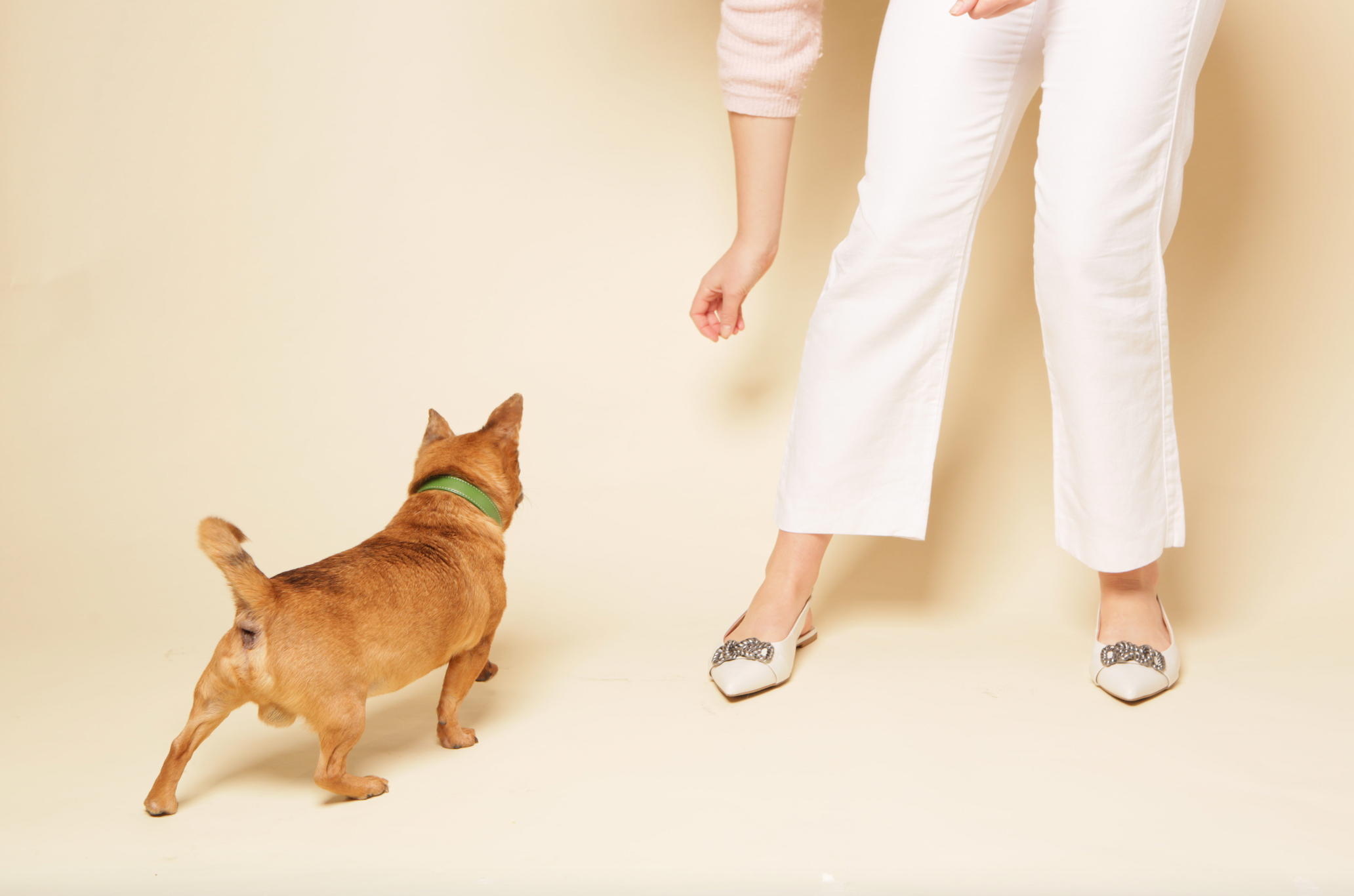 Oceanex poo bags roll, made with oyster shell extract