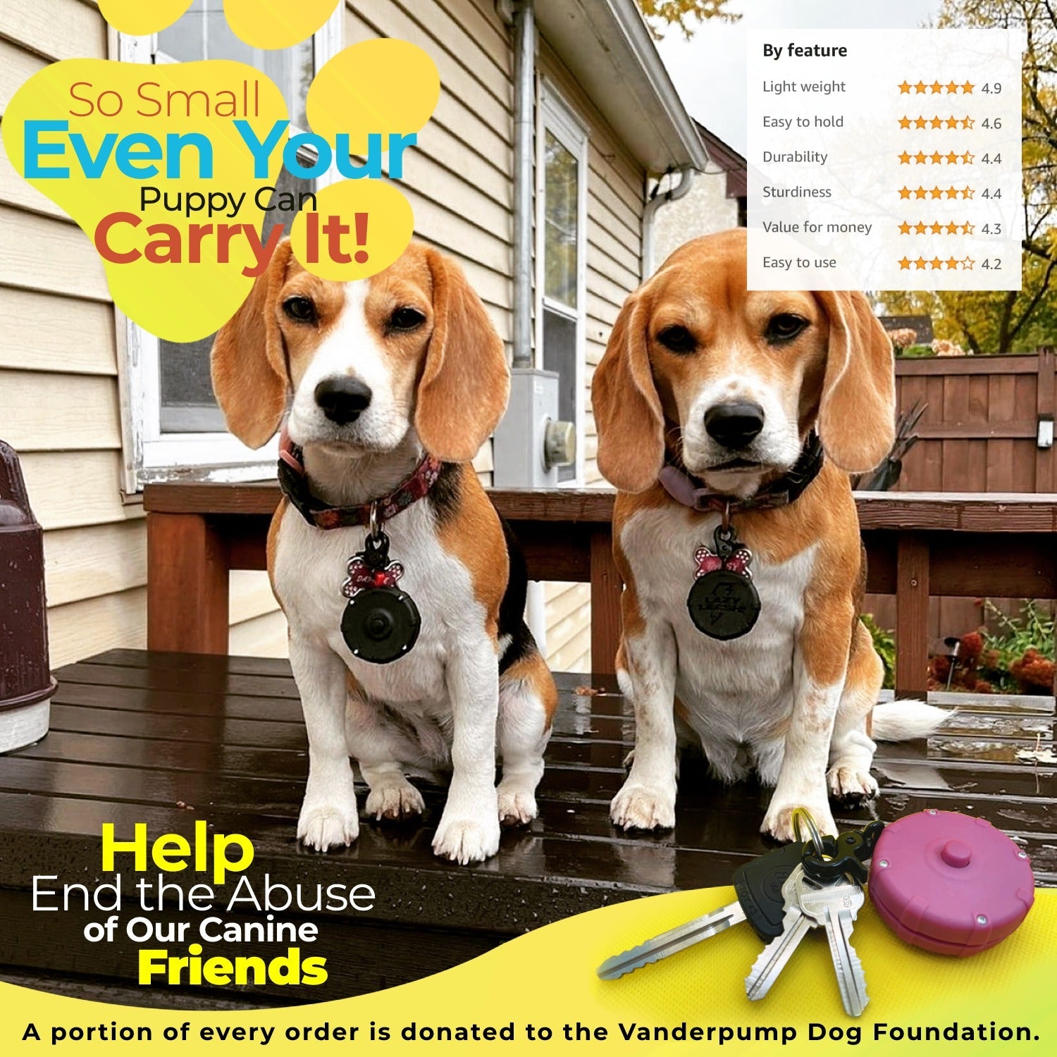 Feel the Freedom, Unleash the Power.