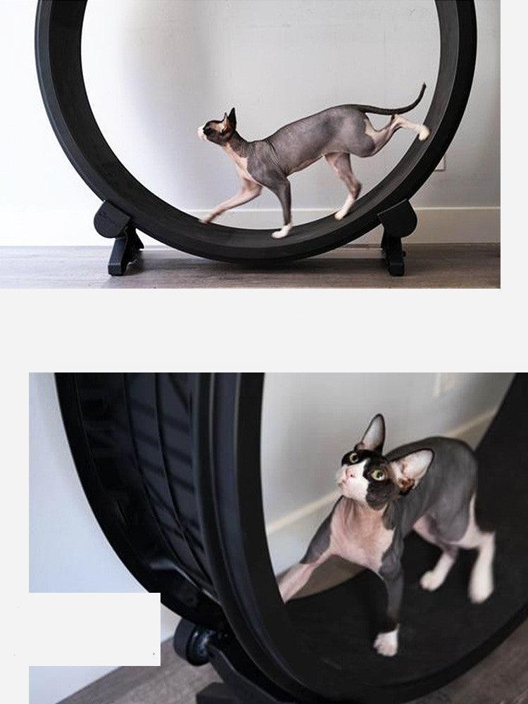 Catfitrun: The Ultimate Pet Cat Running Wheel For Fitness And Fun