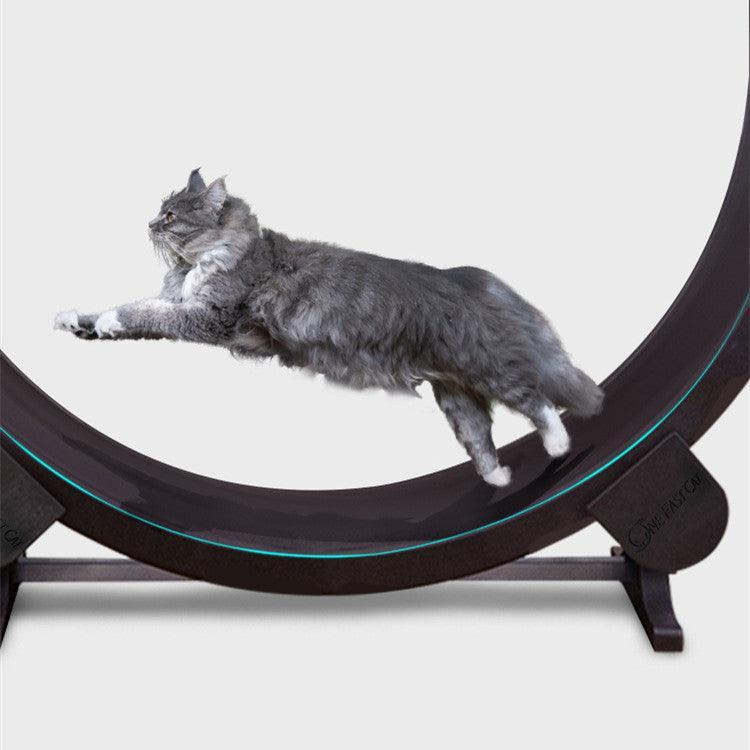 Catfitrun: The Ultimate Pet Cat Running Wheel For Fitness And Fun