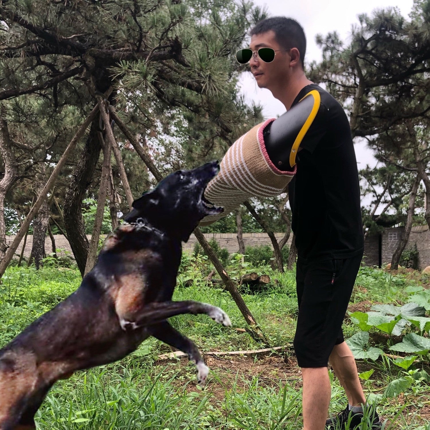 Thicken Dog Bite Sleeves