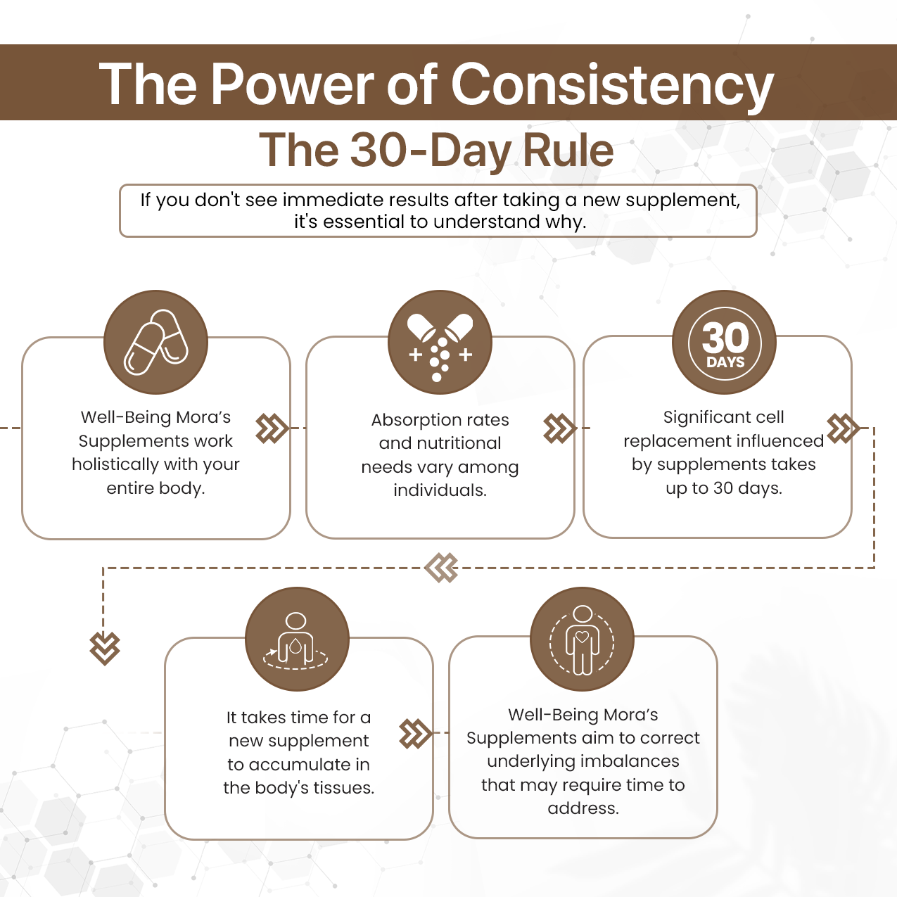 Guduchi (Giloy) Powder for Immunity & Detox