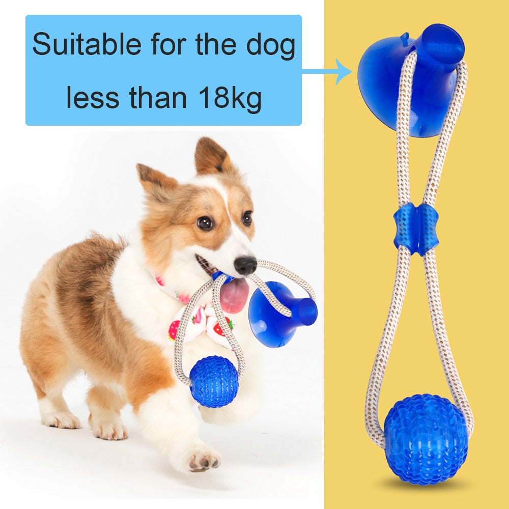 3Pcs Multifunction Pet Molar Bite Dog Toys Rubber Chew Ball Cleaning Teeth Safe Elasticity Soft Puppy Suction Cup Dog Biting Toy